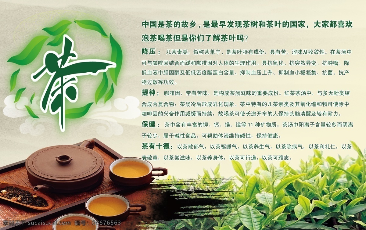 茶叶背景 茶叶简介 茶叶喷绘 茶叶写真 超市茶叶展