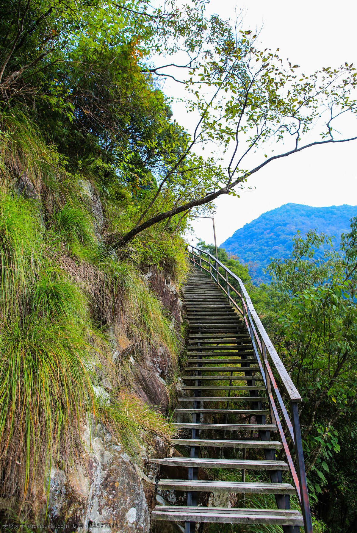 桐庐白云源 浙江杭州 山清水秀 深山 碧水 森林密布 自然环境 原生态 自然风景 自然景观 旅游景点 自助游 国内旅游 旅游摄影