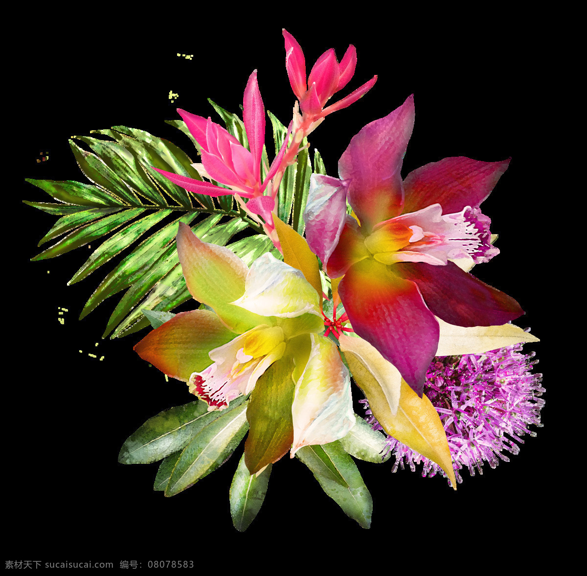 彩色 手绘 花草 装饰 透明 红花 紫色 黄色 绿叶 透明素材 免扣素材 装饰图片
