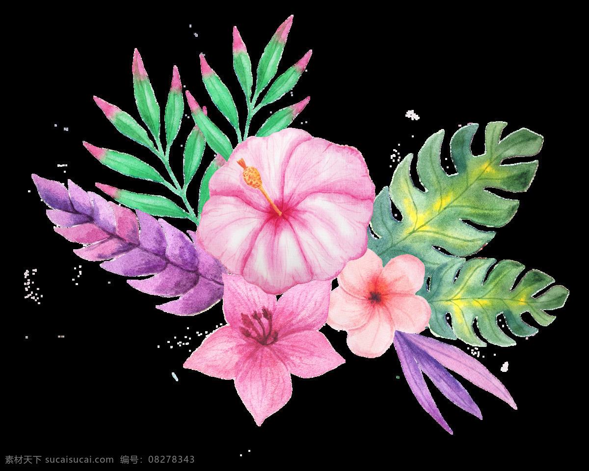 不同 种类 花草 花束 透明 装饰 粉红色 龟背类 绿叶 免扣素材 透明素材 植物 装饰图片