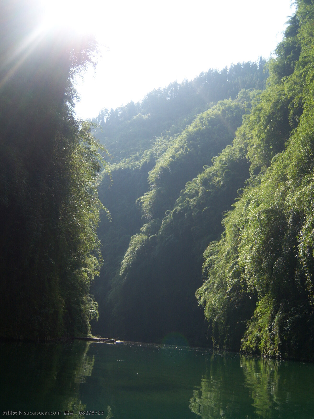 阿依河 彭水 翠竹 绿水 阳光 山水风景 自然景观