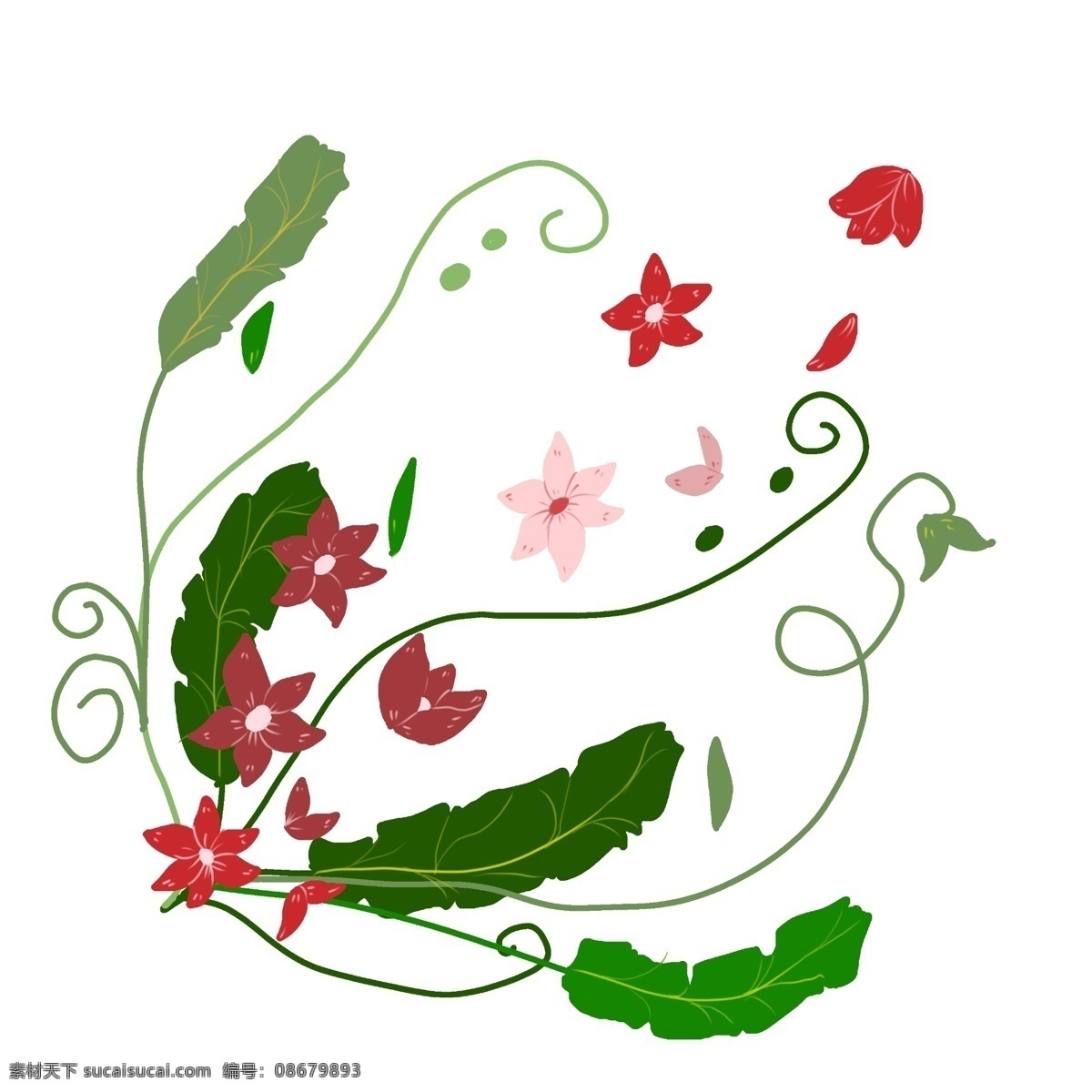 红色 花朵 花 藤 插画 红色小花 植物 绿叶 藤蔓 红花花藤 花藤 红色花朵花藤 花藤插画 漂亮花朵