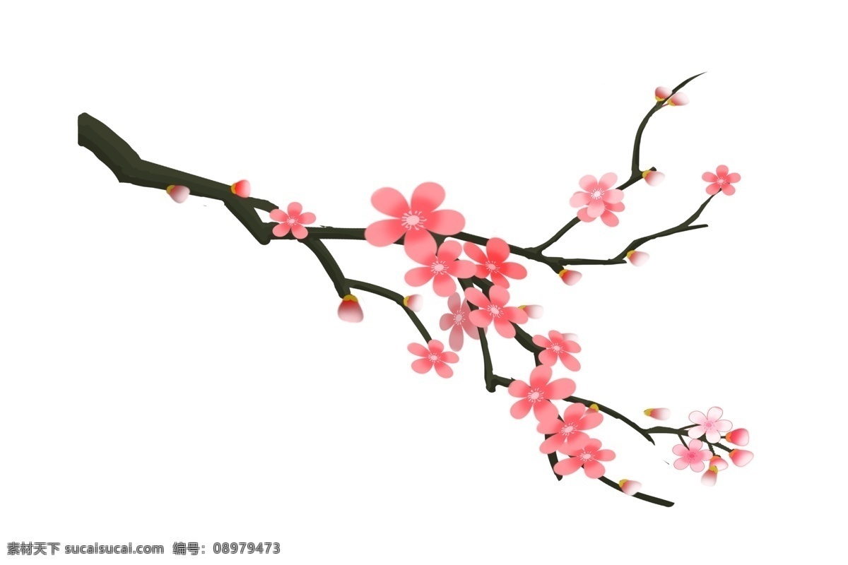 春季 绽放 樱花 插画 粉色的樱花 绽放的樱花 卡通插画 手绘樱花插画 春季樱花插画 美丽的樱花