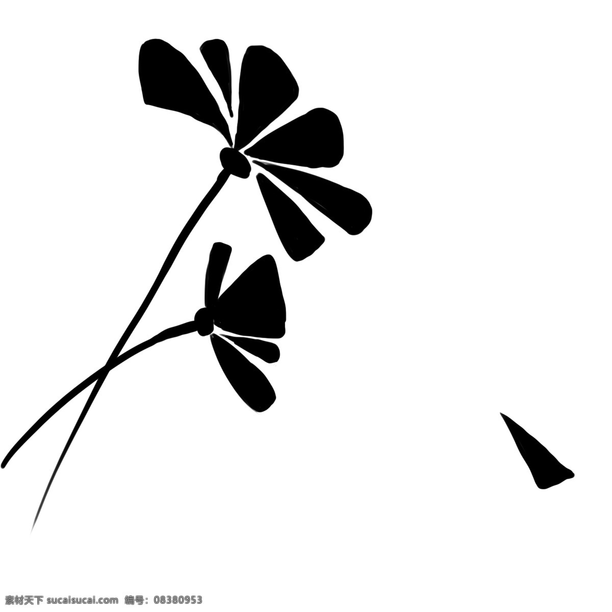 唯美 黑色 花朵 插画 唯美花朵 花儿 一朵花 花卉植物 花朵植物 植物插画 黑色花朵 花