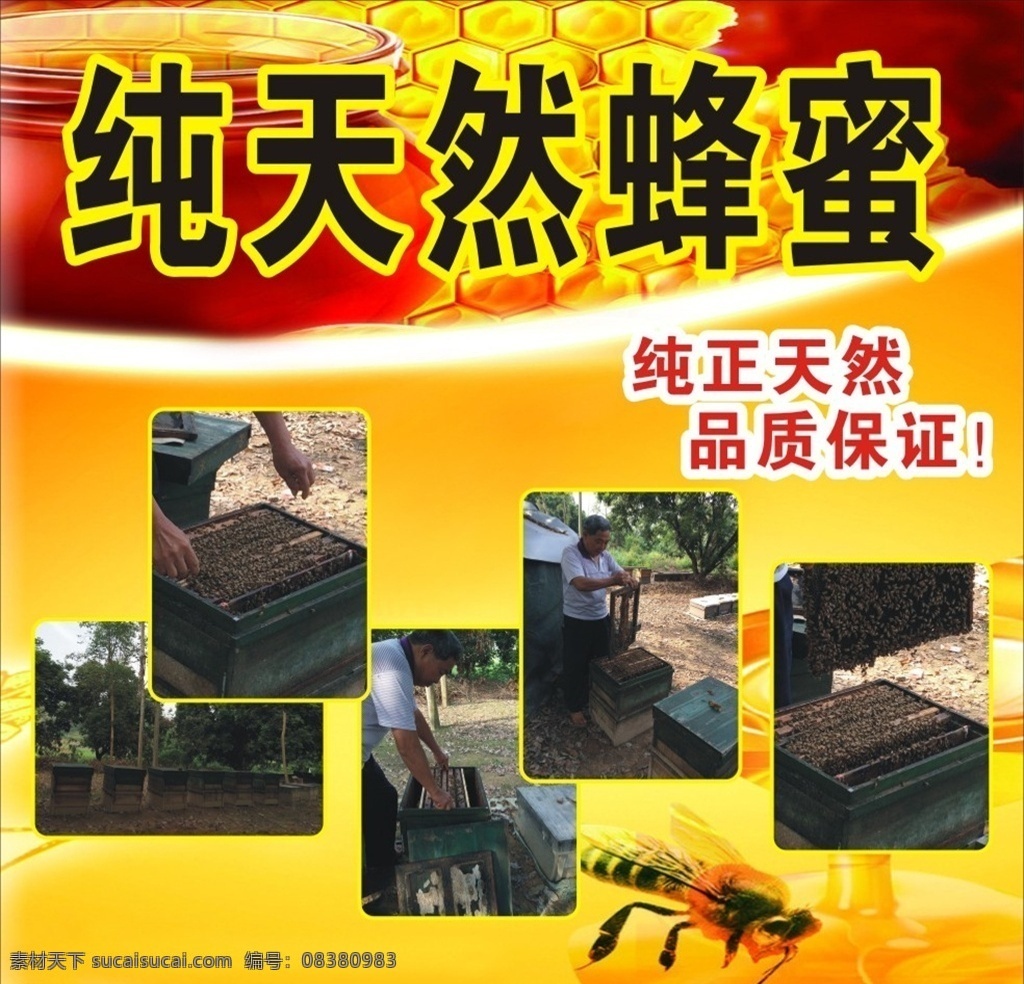 蜂蜜 广告 牌 个性 简单 简洁 明亮 海报 展板 经典 纯天然 蜂王 蜂农 养蜂 天然 蜜 蜜蜂