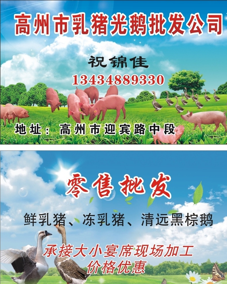 猪名片 鹅 蓝天白云 草地 猪猪 菊花设计 矢量 出售乳猪名片 名片卡片