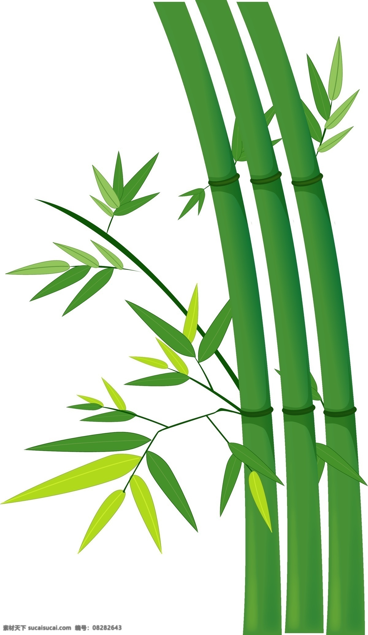 竹子 中国风 植物 水墨 竹子png 花中四君子 装饰小插图 平面风格 手绘风格 水墨风格 绿色
