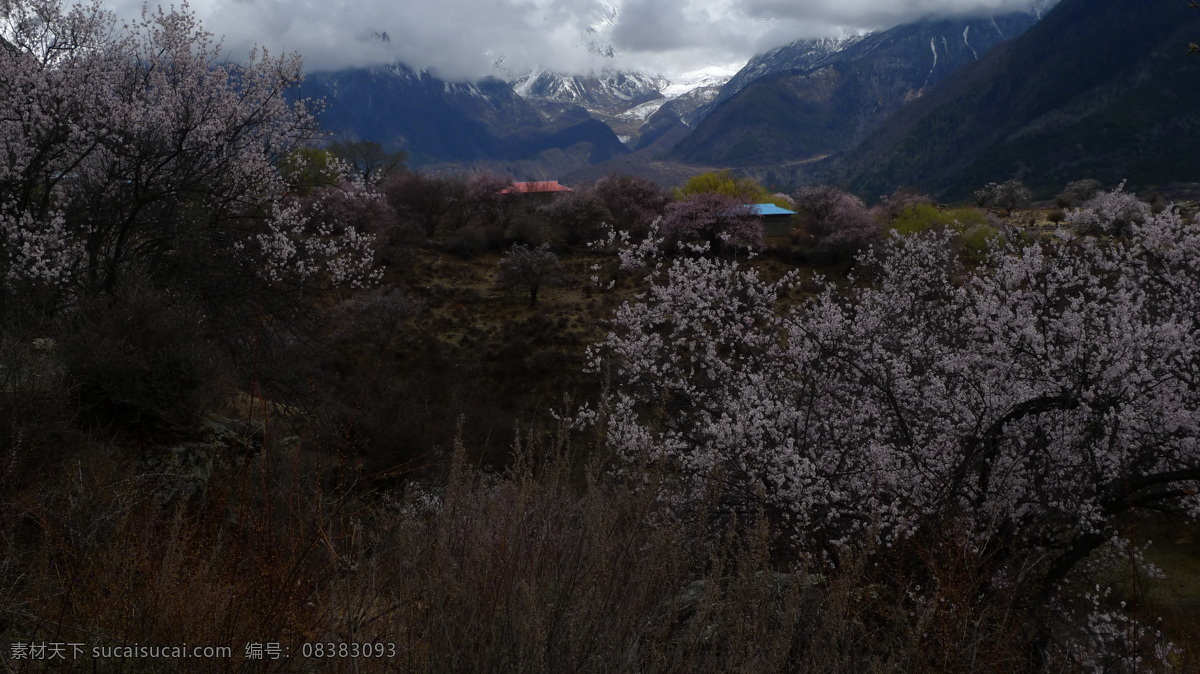 索松村 西藏索松村 西藏林芝 八一镇 西藏 林芝 山水风景 自然景观