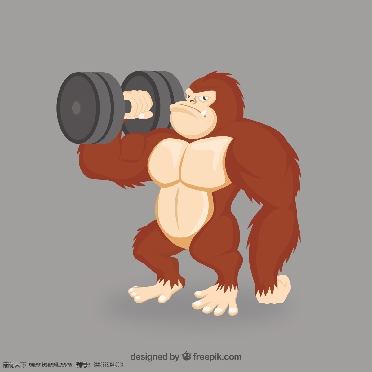 强大的大猩猩 运动 动物 体操 丛林 强壮 大猩猩 肌肉 灰色