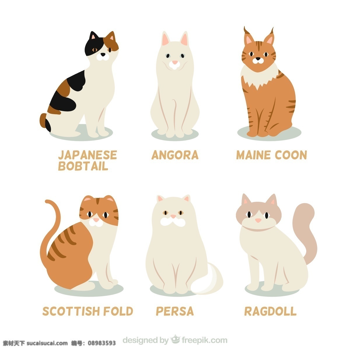 款 可爱 猫咪 矢量 矢量素材 猫 装饰画 插画 卡通矢量 教材 猫咪种类