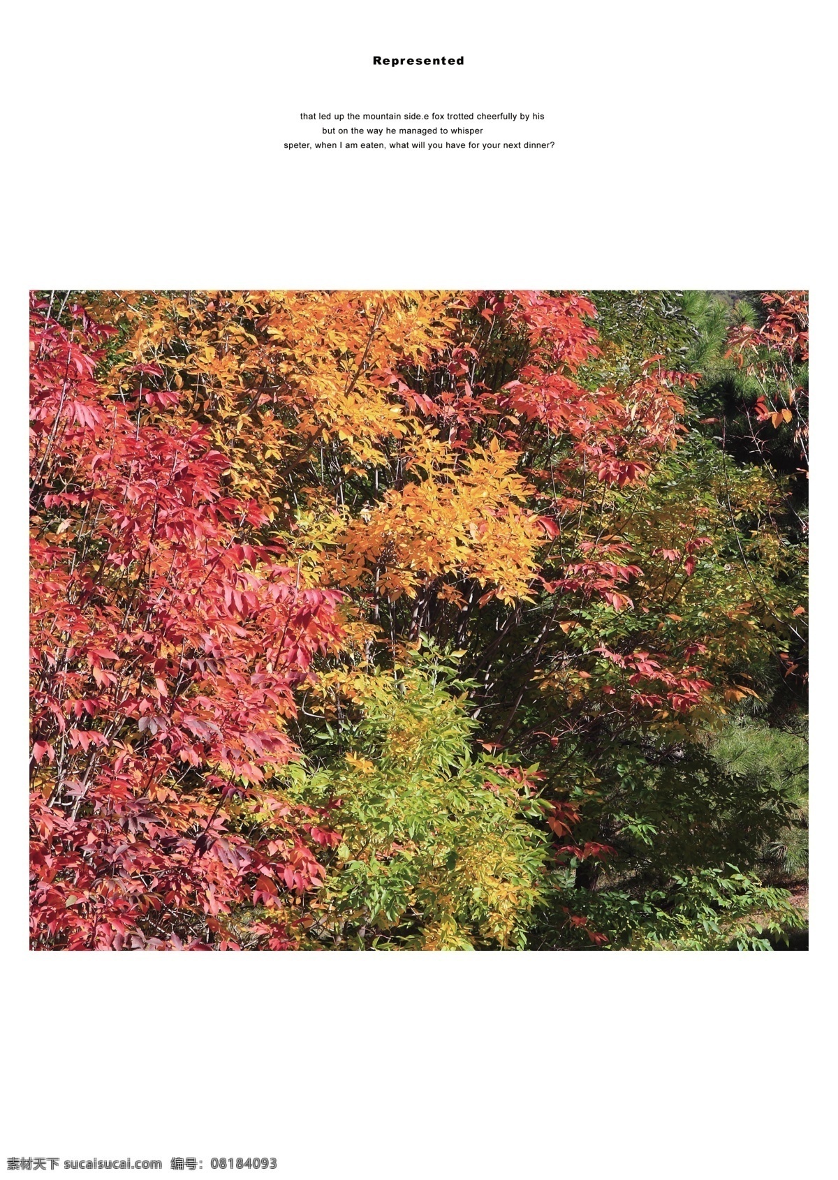 城市 创意 大厦 发展 封面 公路 广告设计模板 画册设计 中国交通发展 跨越式 铁路 企业介绍 简约 现代 源文件 其他画册封面