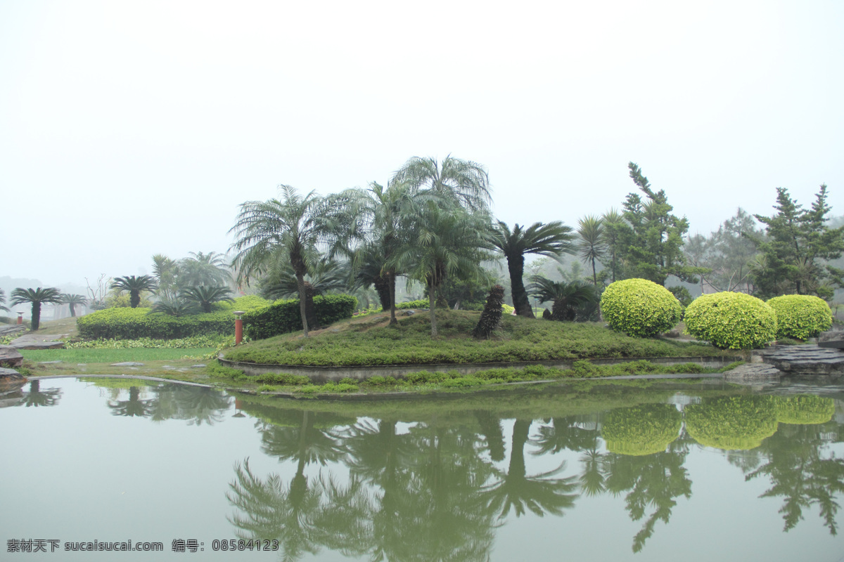 风景 公园 公园风景 湖 湖水 建筑园林 树木 千 灯 一角 千灯湖公园 自然风景 公园一角 园林建筑 家居装饰素材 灯饰素材