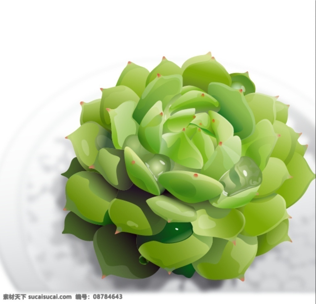 绿色多肉植物 植物矢量素材 绿色植物 水珠 绿叶 逼真 立体感强 质感 矢量图 多肉植物 矢量素材共享 生物世界 花草