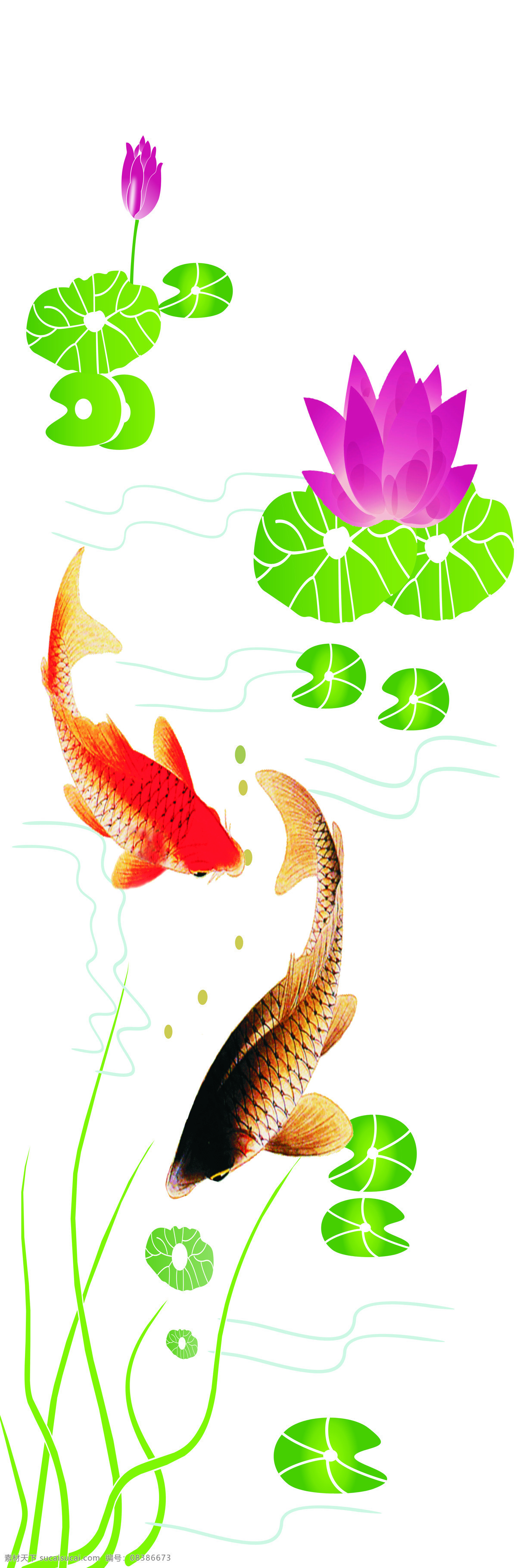 荷花鱼 金鱼 金鱼戏水 两只金鱼 荷叶 荷花 水泡 移门图案 移门 移门图 时尚移门 精美移门 背景底纹 底纹边框