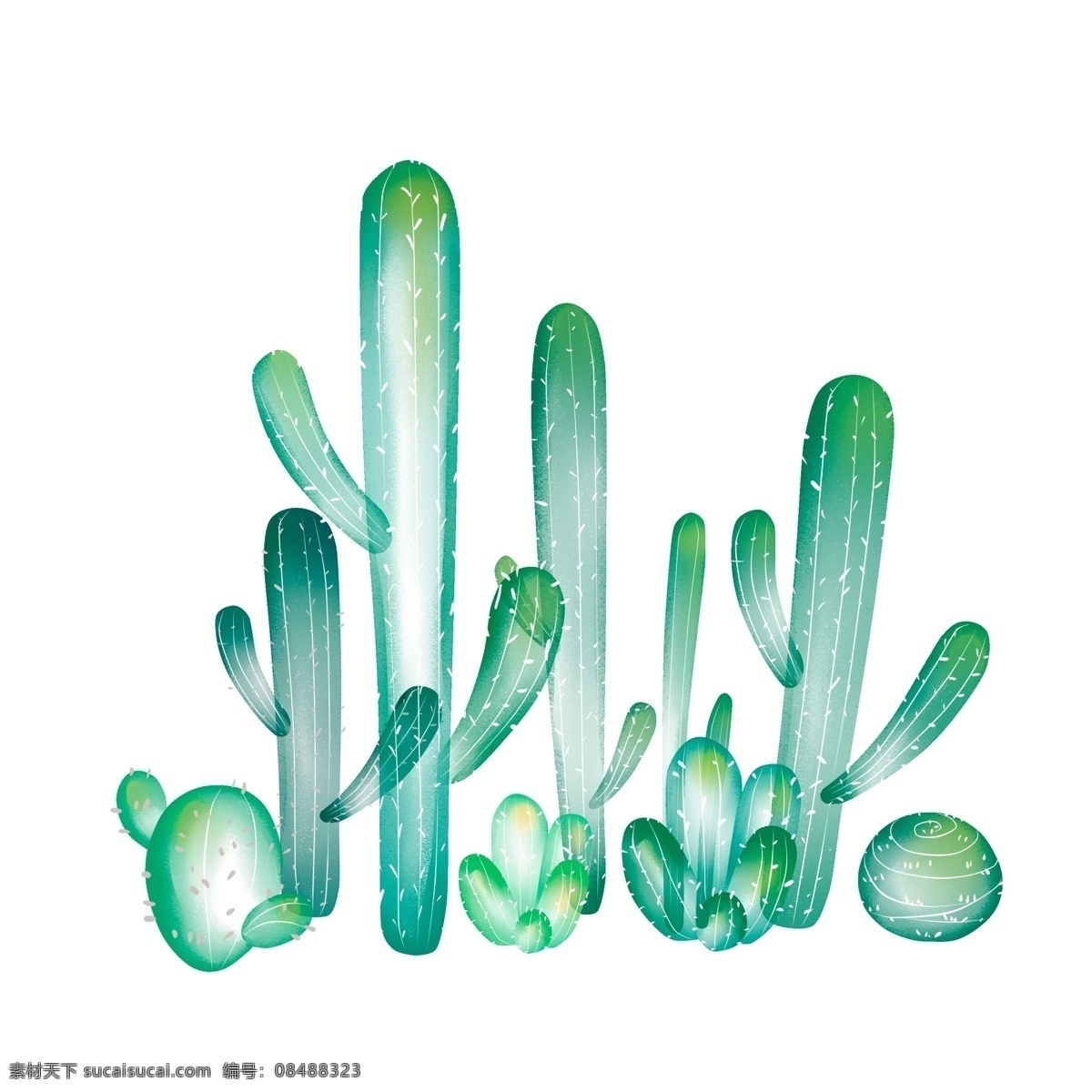 绿色 透气 仙人掌 小清 新设 计 卡通 插画 植物 小清新 透气感