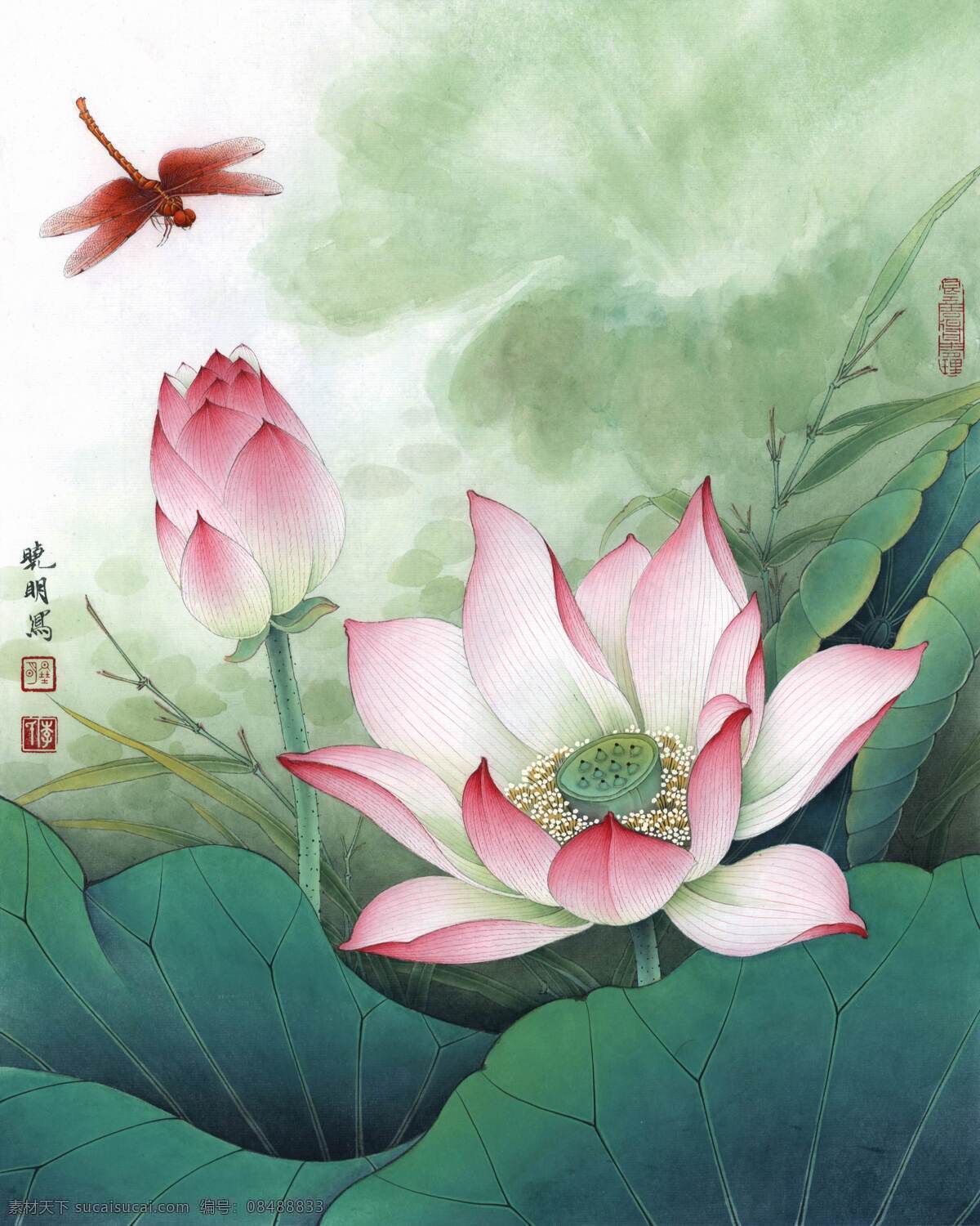 resize of 2012 荷花 红 蜻蜓 花鸟画 设计素材 花鸟画篇 中国画篇 书画美术 白色