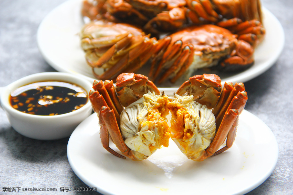 美味 大闸蟹 螃蟹 蟹黄 背景 母蟹 食物 阳澄湖大闸蟹 背景图 美食 海鲜 活鲜 新鲜 公蟹 应季美食 大闸蟹食谱 大闸蟹怎么吃 大闸蟹做法 味道 吃大闸蟹 十月黄 六月黄 鲜美 banner 味道图片 大闸蟹图片 美食图片 背景图图片 螃蟹图片 食物图片 餐饮美食 传统美食