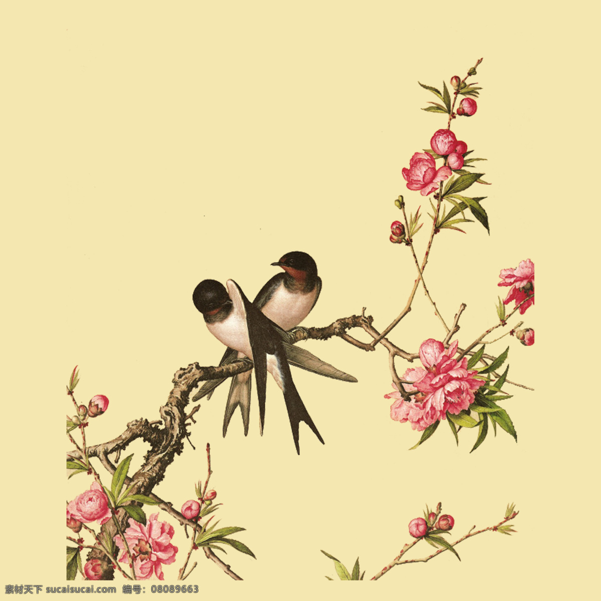 喜雀 中国画 国画 中国风花鸟 水墨画 水墨鸟 花鸟 水彩画 工笔画 鸟 写意 中国风 文化艺术 传统文化 绘画书法