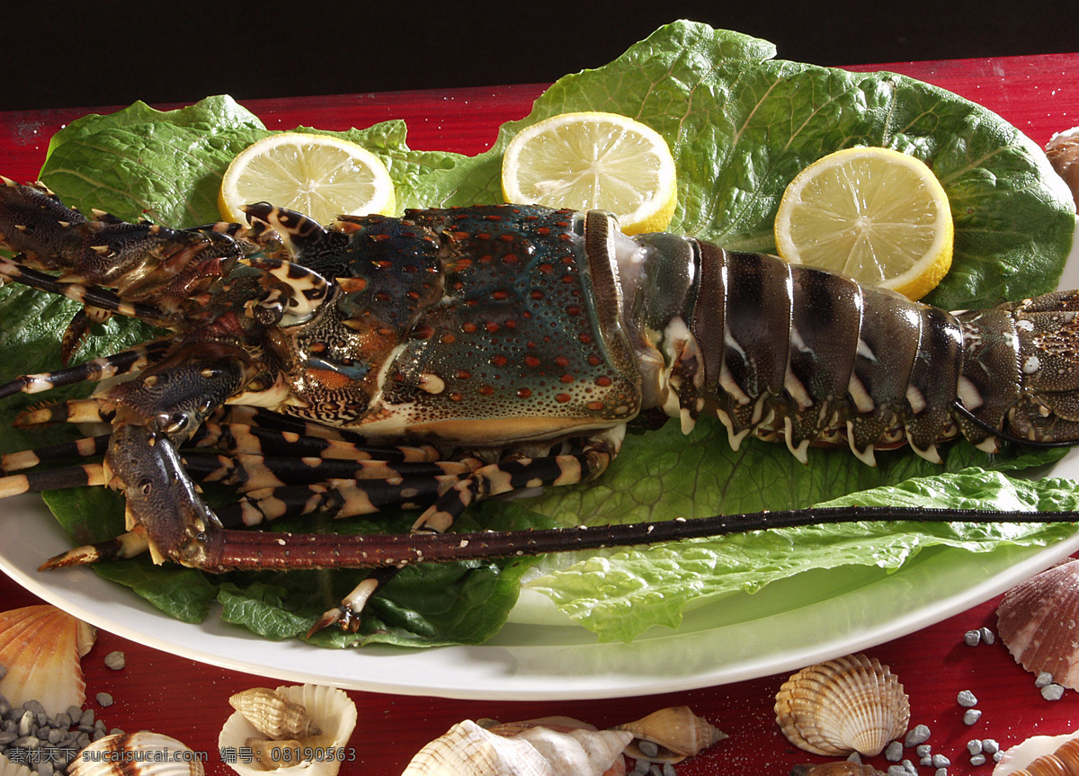 海虾 活虾 鲜虾 鱼虾 虾子 虾类 虾肉 海洋资源 海洋生物 美味 海鲜 新鲜海鲜 海鲜水产 生猛海鲜 食材原料 食物原料 餐饮美食