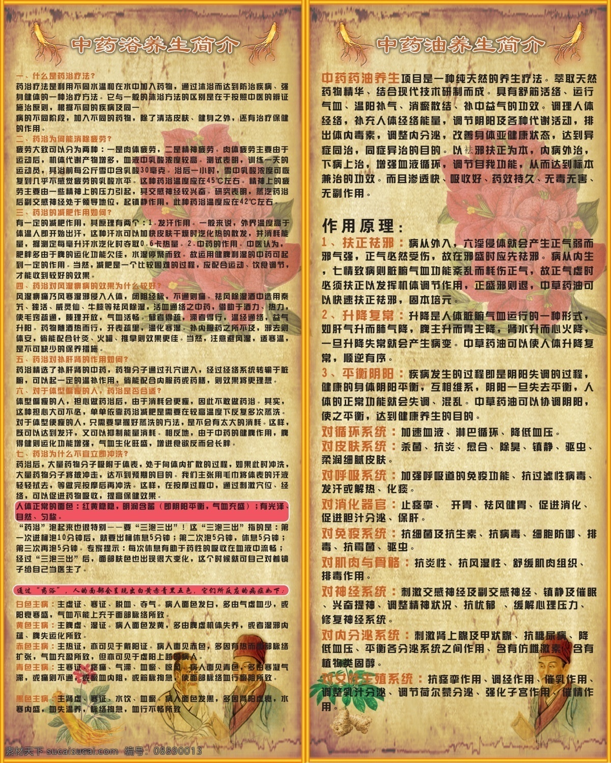 中医免费下载 保健养生 彩页 广告设计模板 人参 养生 易拉宝 源文件 展板模板 中医 展架 展板展架 中草药 psd源文件 餐饮素材