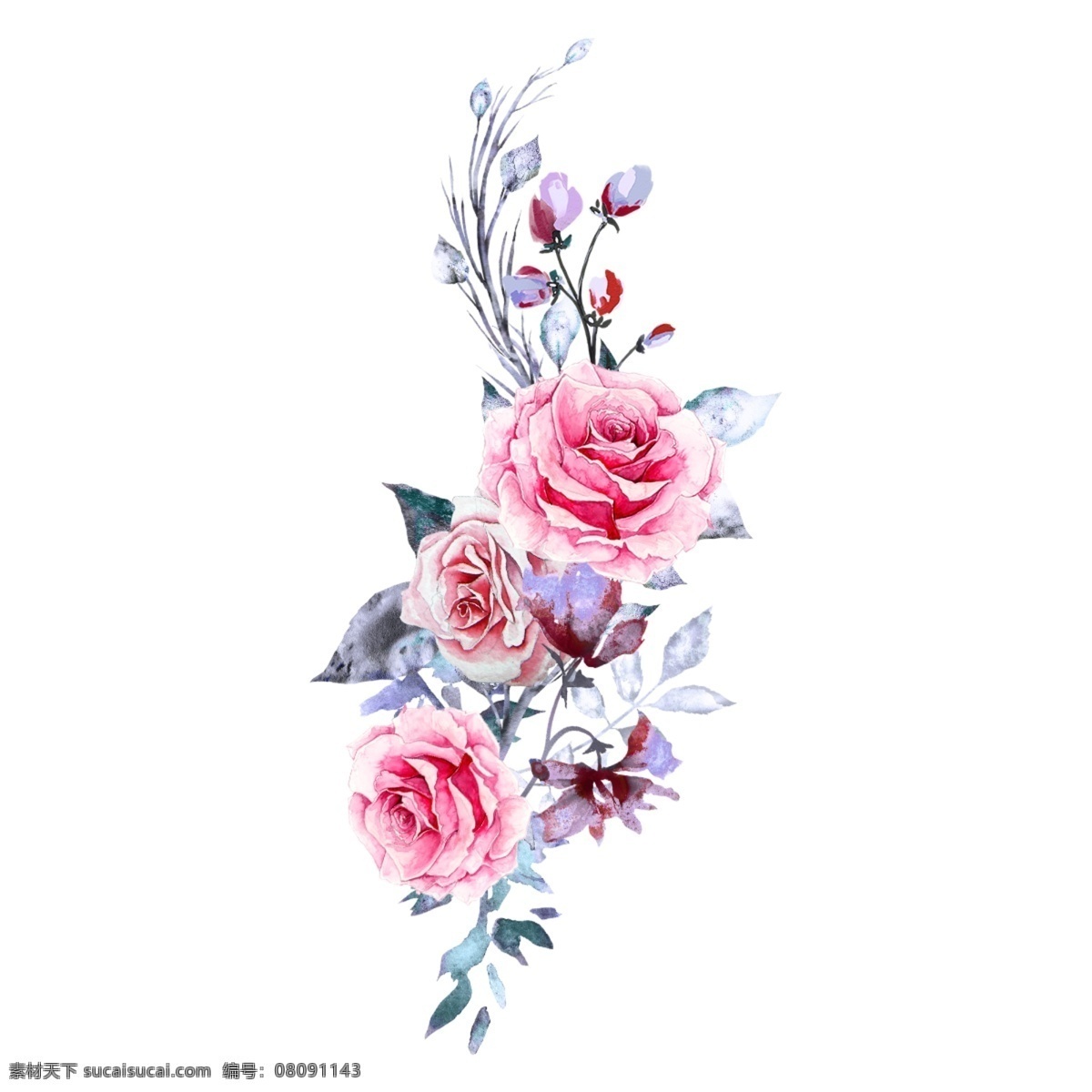 美丽 手 画 水彩 玫瑰花