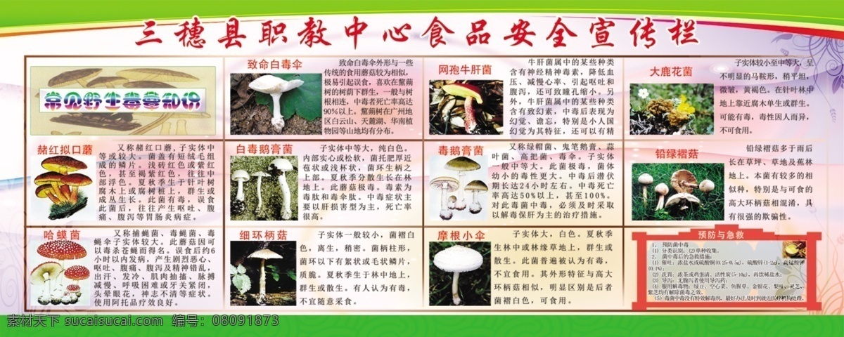 野生菌 安全 宣传 野生菌图片 野生菌知识 毒菌的认识 校园食品宣传 psd广告 展板模板