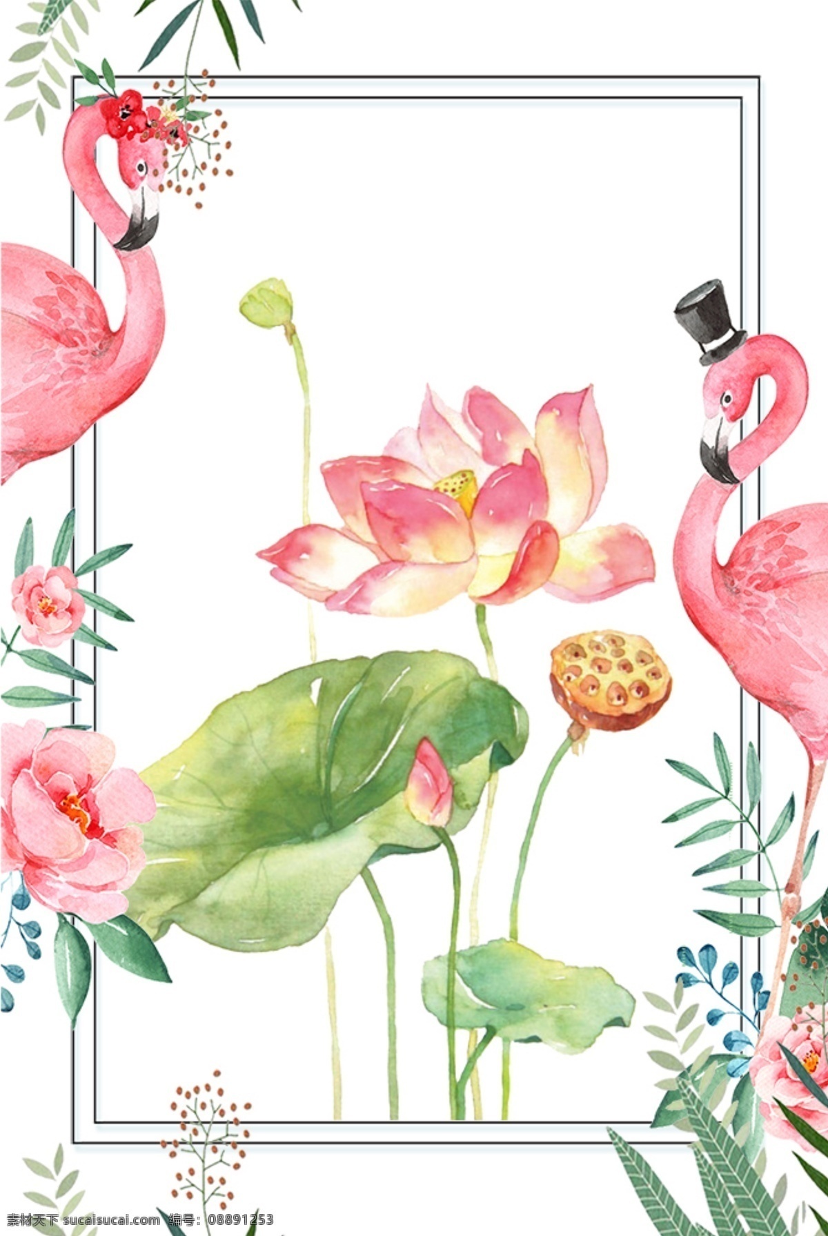 火烈鸟 荷花 元素 背景 图