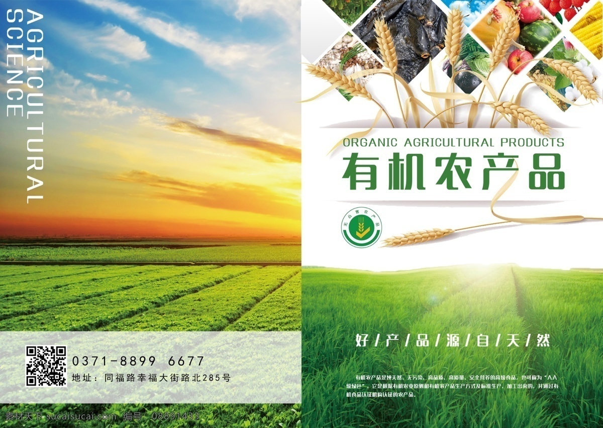 画册封面 农产品画册 农业画册 农业背景 科技农业 牧业宣传册 农业招商手册 农业宣传册 三农画册 农产品宣传册 绿色食品 环保画册 环保宣传册 绿化手册 绿化宣传册 绿化宣传页 农产品 食品画册 食品宣传册 农业合作社 合作社画册 粮食 农业宣传单 健康食品 农机画册 企业画册 画册设计