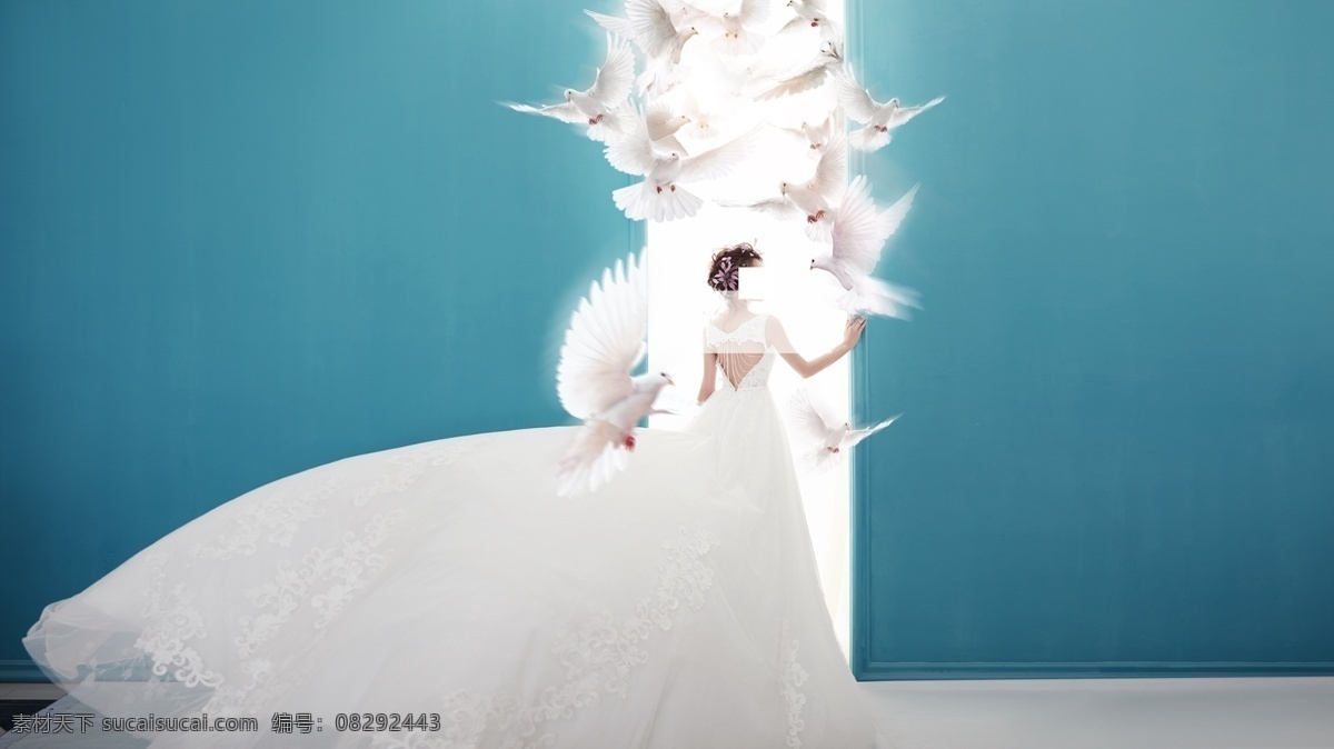 婚纱照 鸽子 背景素材 背景透光设计 鸽子图层 墙面背景 分层