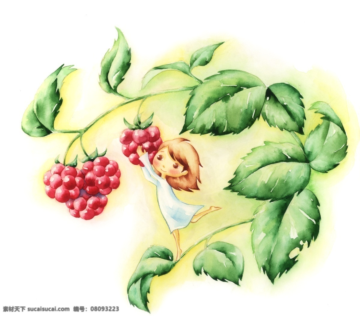 野生 果实 小女孩 psd源文件 彩绘 叶子 植物 野生蛇莓 红色果实 摘果子