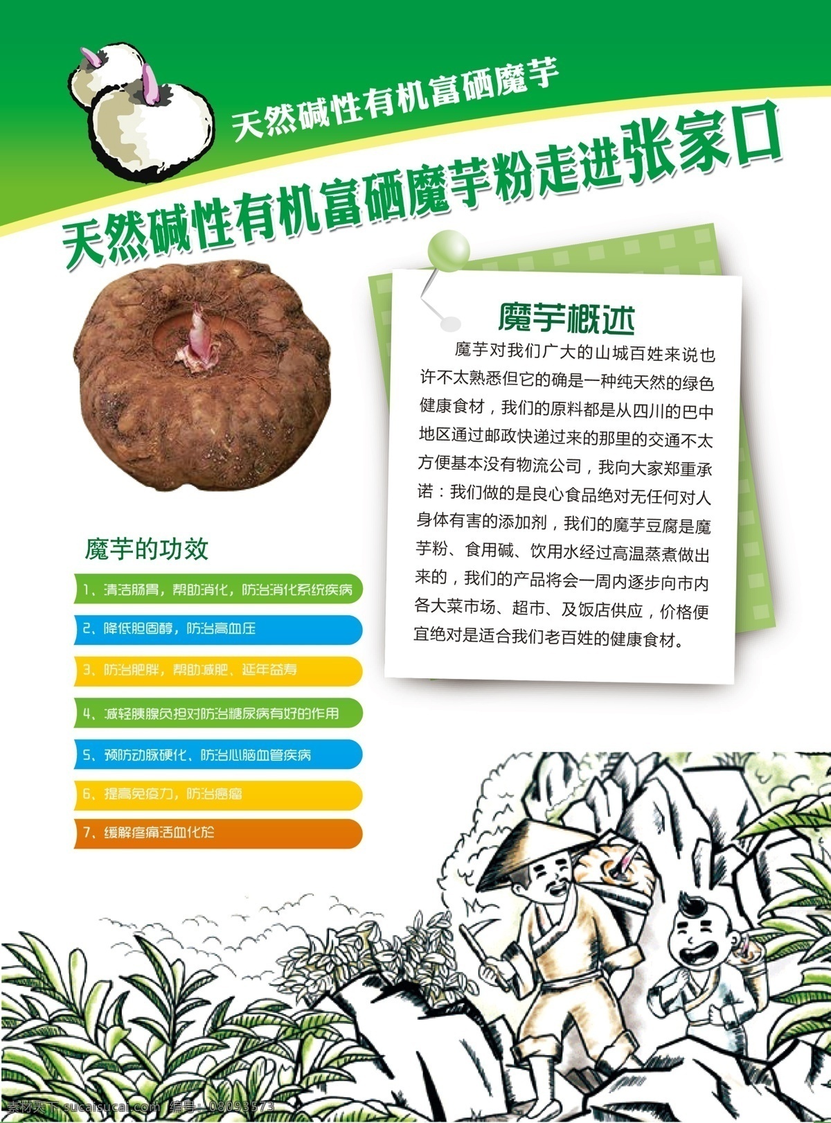 魔芋宣传单页 魔芋宣传单 魔芋宣传页 魔芋单页 魔芋 魔芋图