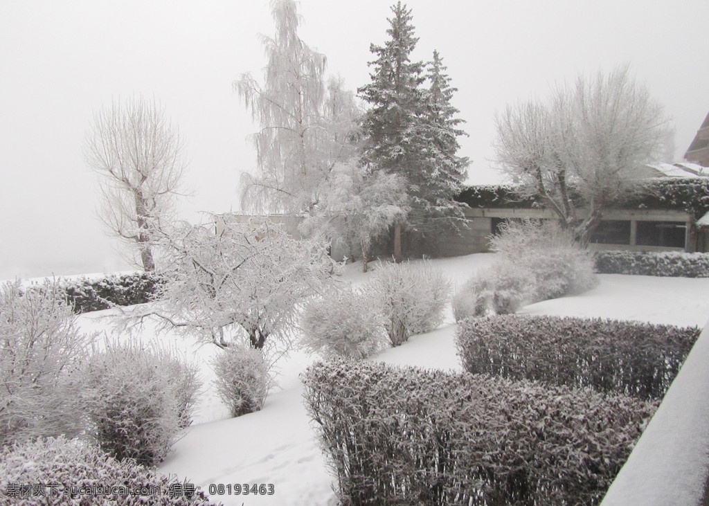 雪树银花 雪景 松树 白的世界 纯洁 冰 雪 风景 白 背景 国内旅游 旅游摄影
