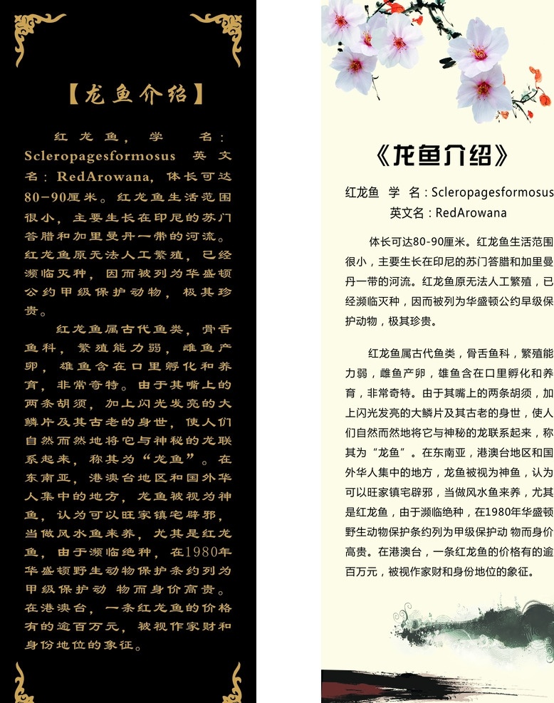 龙鱼介绍 龙鱼文化 龙鱼的由来 红龙鱼 神鱼 古代鱼 甲级保护动物 展架