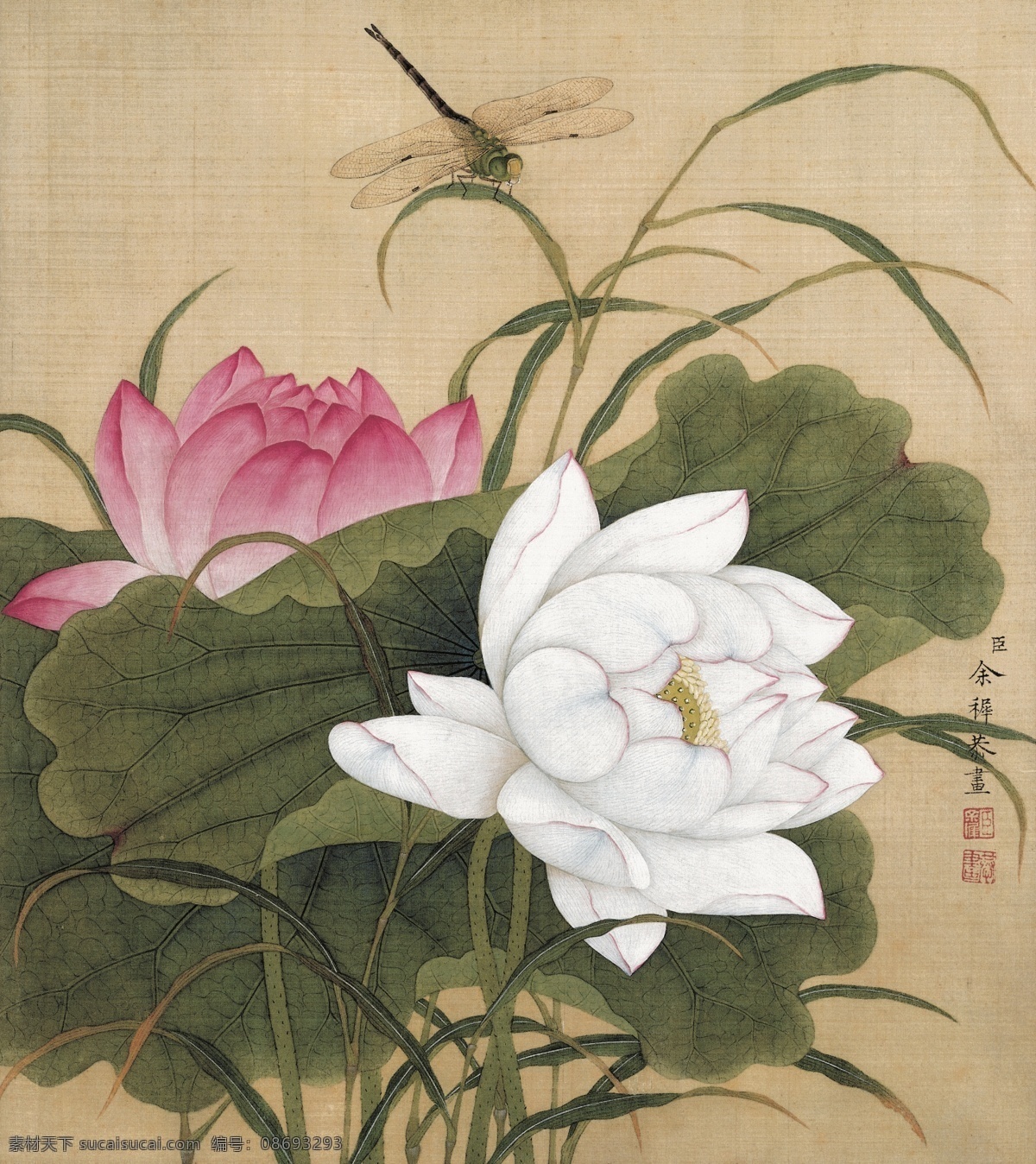 中国 风 花鸟 工笔画 花卉图 花卉 鸟雀 风景画 花卉写生 植物花朵绘画 装饰画 中国风 花草绘画 蝴蝶昆虫绘画 复古绘画 名家绘画 清代画家 花卉集 字画 水彩植物 花鸟册 中国画 工笔画鸟 工笔 古代 花鸟鱼虫 植物图谱 植物图集 画家绘画 历代 国画 文化艺术 绘画书法