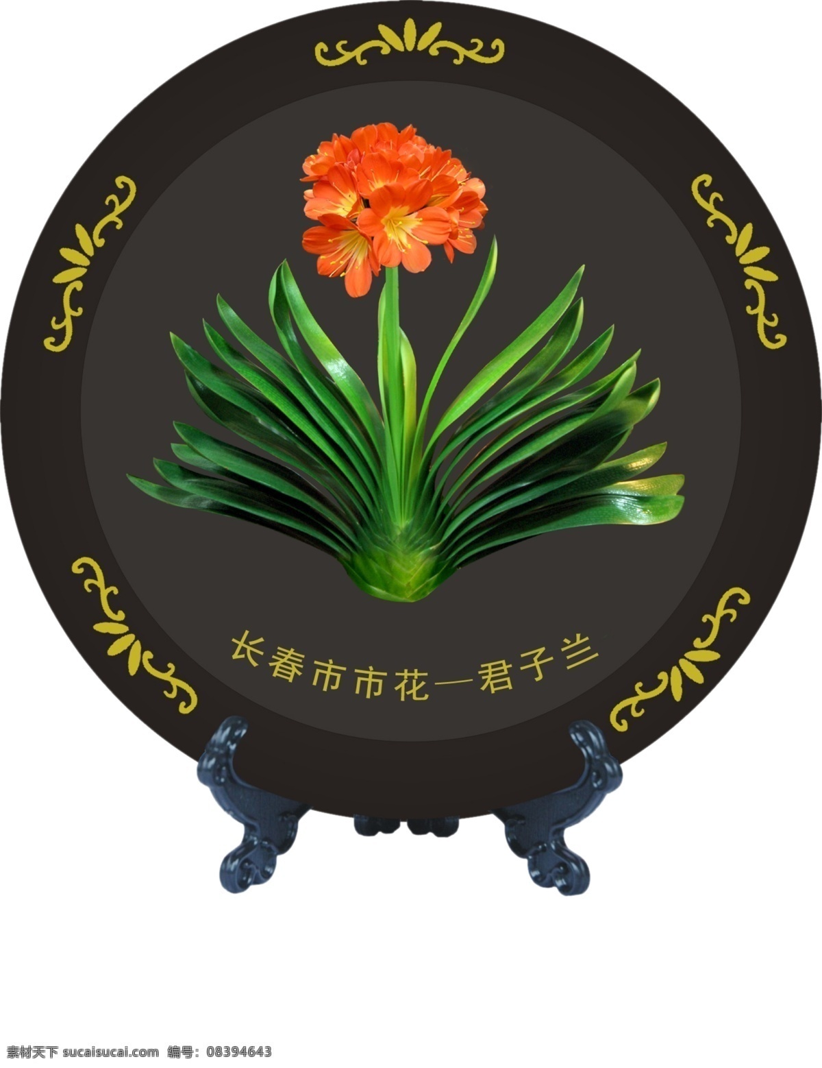 君子兰 生物世界 植物 花草 鲜花 源文件 分层