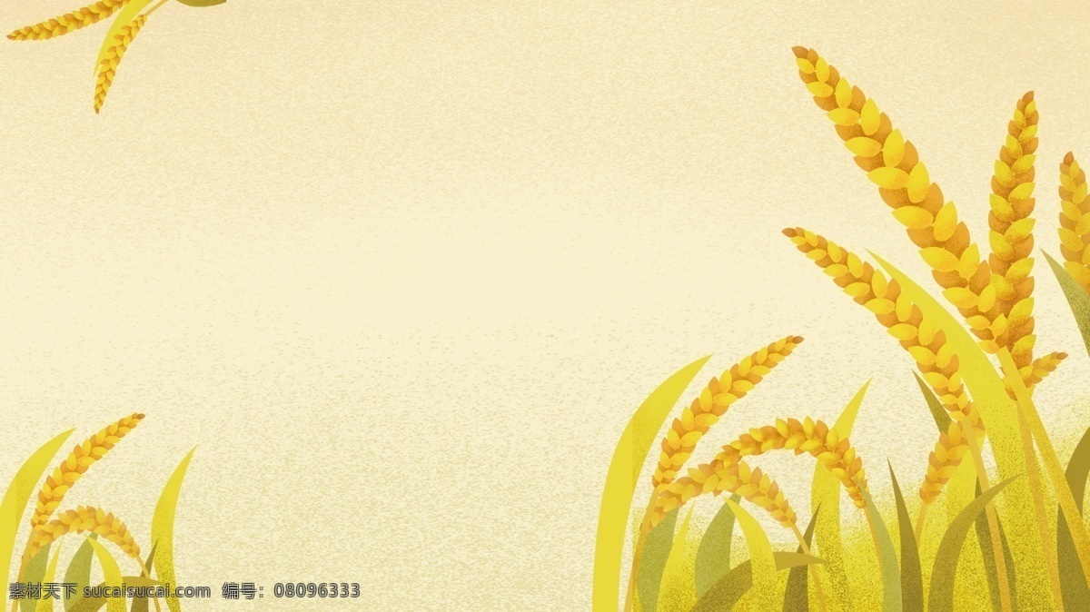 芒种 节气 麦穗 背景 小麦 成熟的麦穗 金黄的麦穗 二十四节气 芒种节气 背景设计 彩绘背景 手绘背景 背景展板 背景展板图 背景图