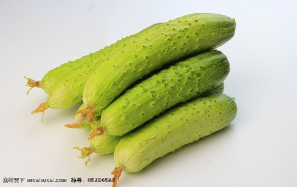 旱 黄瓜 摄影作品 旱黄瓜 蔬菜 有机 食品 农业 生物世界
