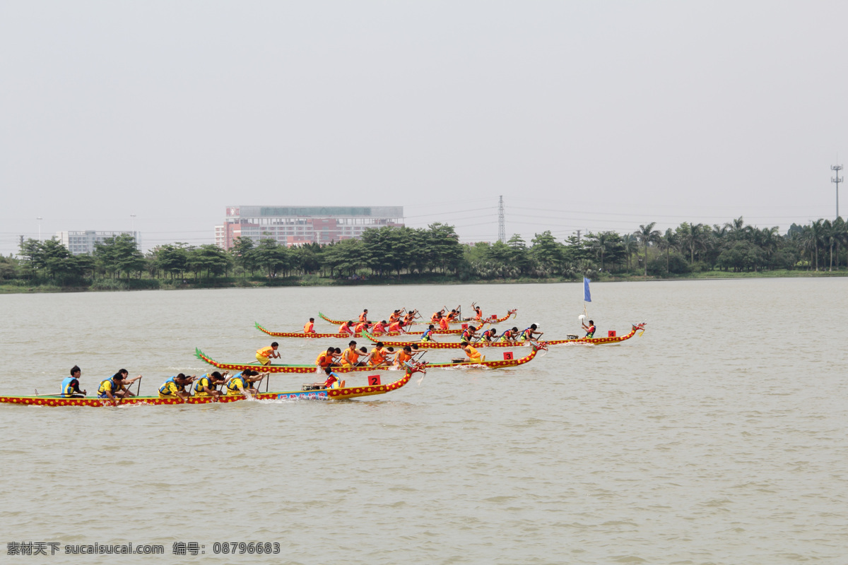 传统文化 端午 端午赛龙舟 湖 湖面 湖水 龙舟 民俗 赛 龙舟摄影 树林 树木 文化艺术 节日素材 端午节