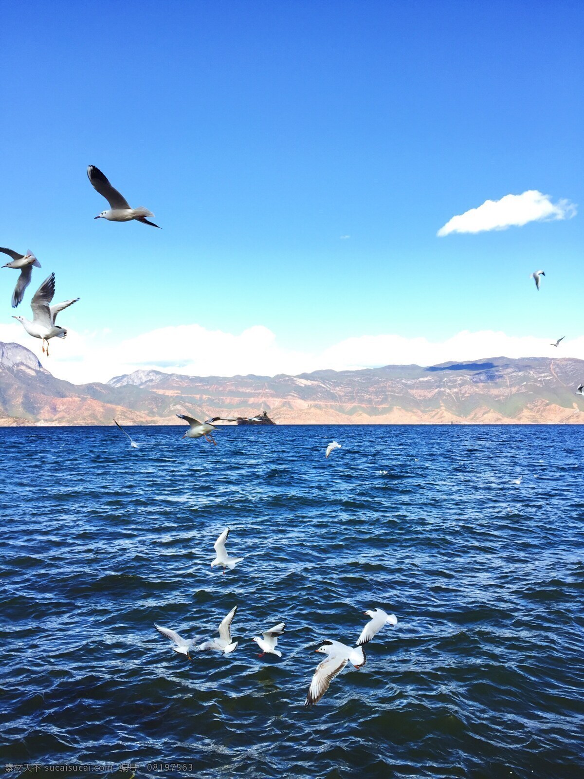 泸沽湖 泸沽湖风光 湖泊 游泸沽湖 唯美 风景 风光 旅行 自然 自然景观 山水风景 四川 丽江 淡水湖 云南泸沽湖 摩梭族 最美泸沽湖 沪沽湖之旅 风景名胜