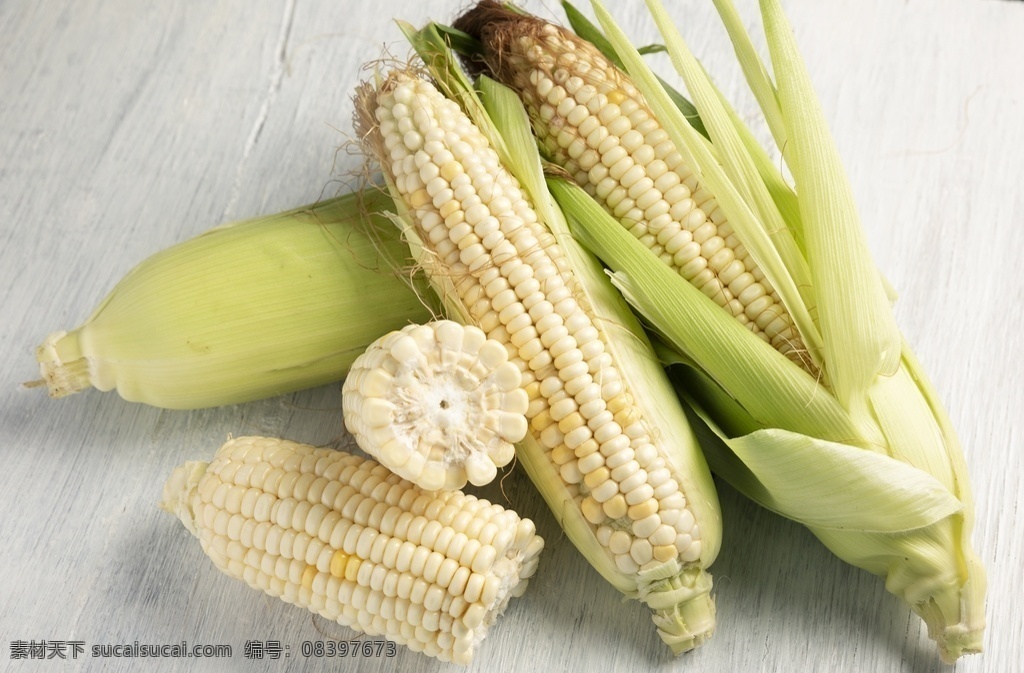 白玉米 摄影图片 玉米 熟玉米 生玉米 玉米地 玉米种子 玉米广告 玉米宣传 玉米海报 玉米素材 苞米 苞米地 玉米庄家 玉米田地 玉米种子图片 嫩玉米海报 鲜玉米 种子传单 玉米种子传单 种子宣传单 玉米包装 玉米展板 化肥海报 种子化肥 玉米化肥海报 苞米种子 苞米种子传单 生物世界 蔬菜