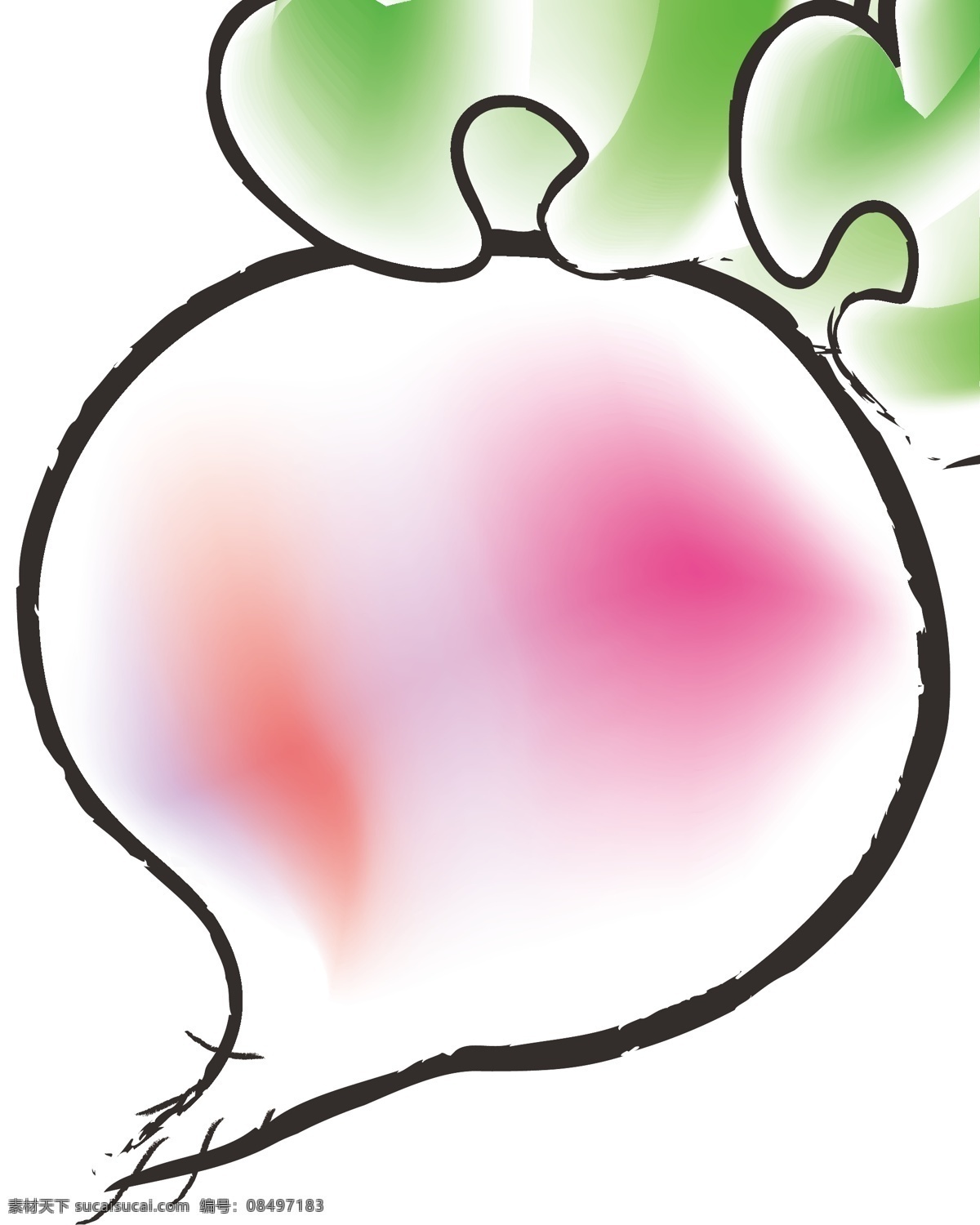 萝卜 插画 蔬菜 生物世界 矢量 白色