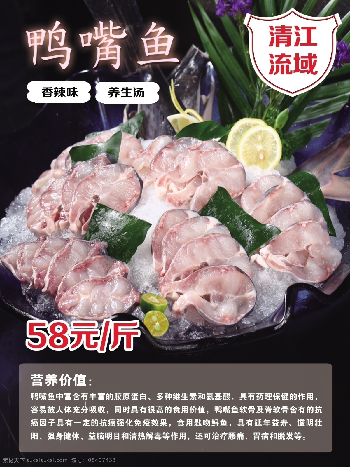 原始鱼 桨吻鲟 乌鱼 黑鱼 长嘴鱼 鱼类 鱼类食材 匙吻鲟 匙吻猫鱼 舌尖美味 地道美食 中国美食 中华美食文化 酒店海报 饭店海报 餐饮海报 餐饮文化 舌尖上的美食 家常菜 美食海报 美食宣传图 美食展板 鸭嘴鱼海报 鸭嘴鱼养殖 鸭嘴鱼美食