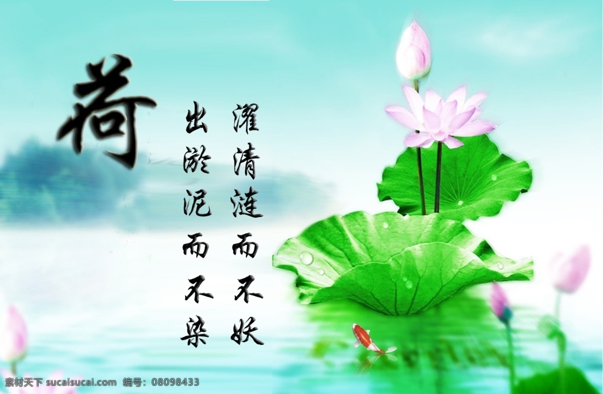 荷花 诗句 苫渌夭南略 psd源文件