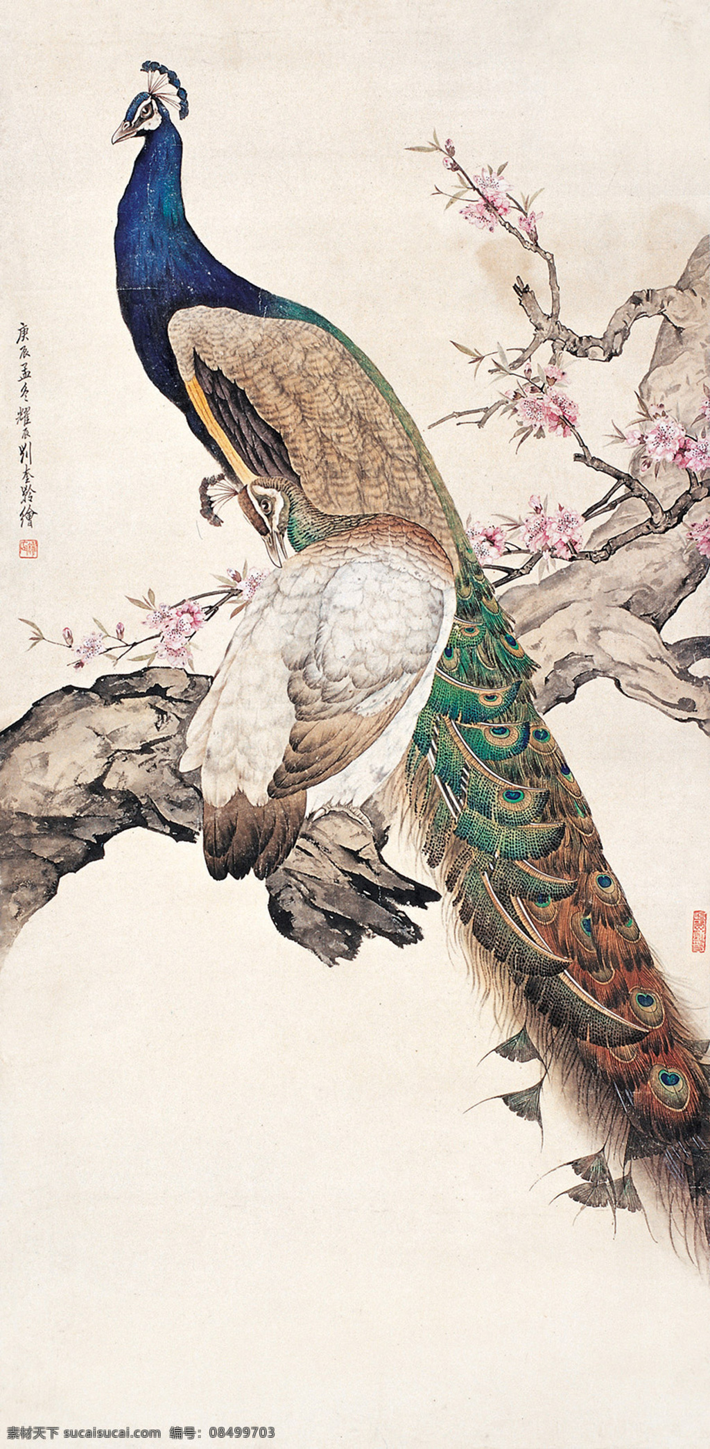 传统文化 工笔画 国画 花鸟工笔画 绘画书法 孔雀 文化艺术 花鸟 设计素材 模板下载