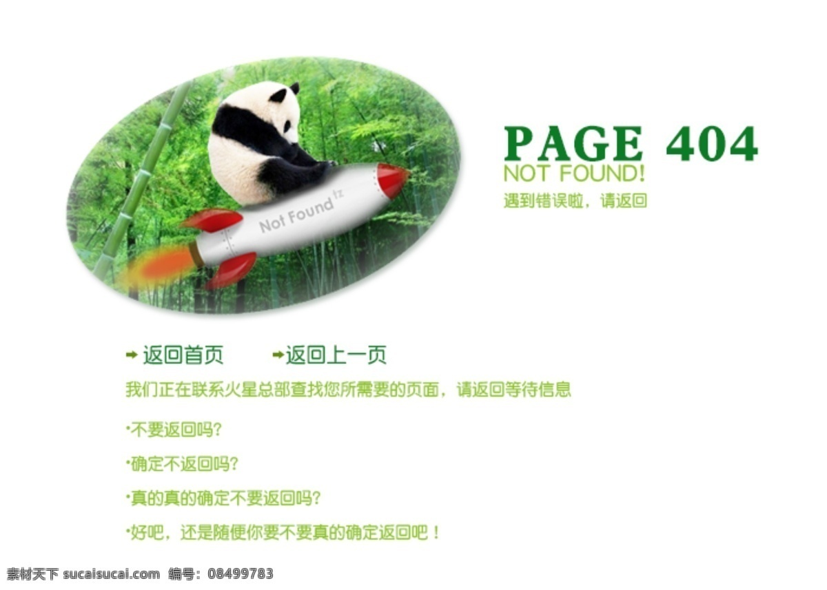 火箭 网页模板 熊猫 源文件 中文模板 网页 错误 页面 模板下载 错误页面 网页404 404页面 熊猫坐火箭 网页素材