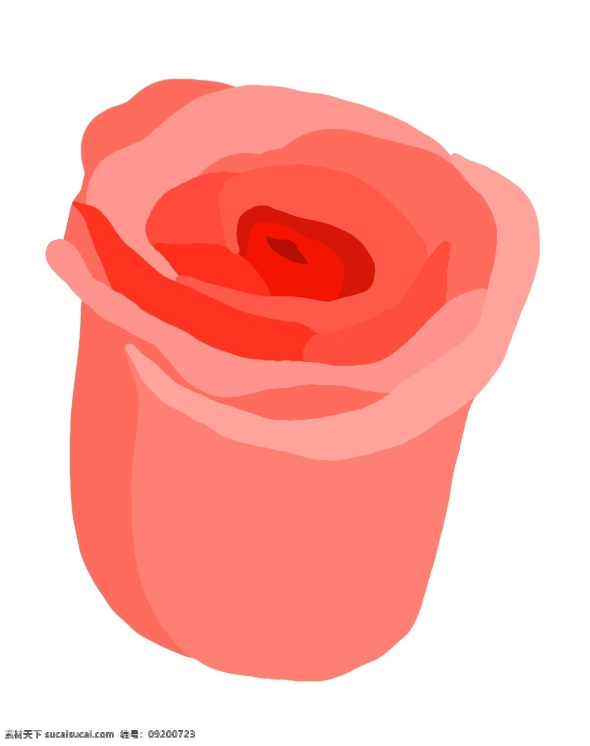 玫瑰 花朵 卡通 插画 红色的花朵 卡通插画 花朵插画 植物插画 鲜花花束 花朵装饰 玫瑰的花朵