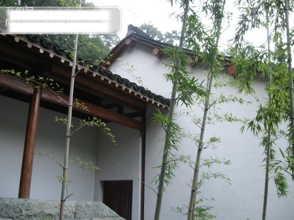 竹免费下载 房子 杭州 龙井 旅游摄影 群山 摄影图 西湖 竹 杭州旅游 风景图片 风景 生活 旅游餐饮