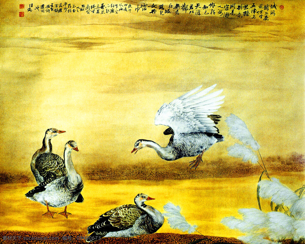 工笔画 鸟 工笔 金色 鸭 画鸟 家居装饰素材 山水风景画