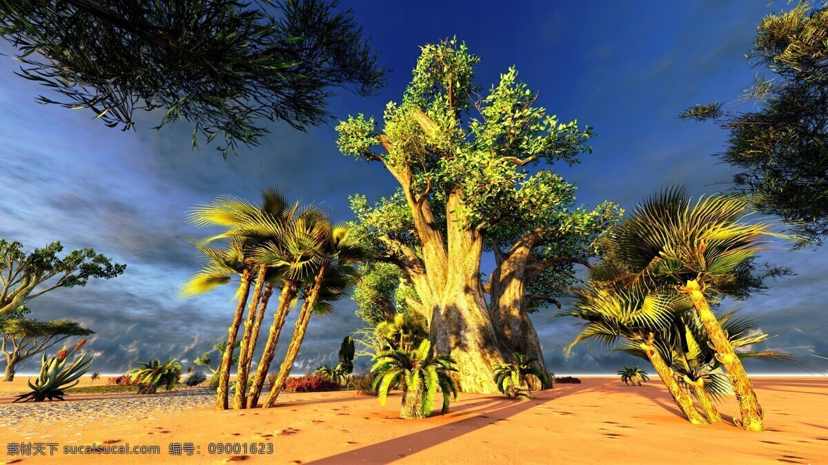 风光 绮丽 动人 非洲 自然风光绮丽 绿树 沙漠 阴天 山水风景 风景图片