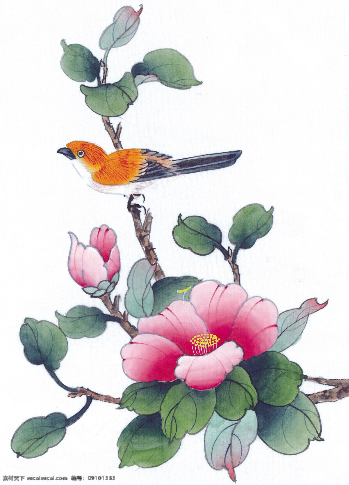 中式 花鸟 工笔画 花朵 花卉 花草 鸟 中国风 中式工笔画 文化艺术 绘画书法